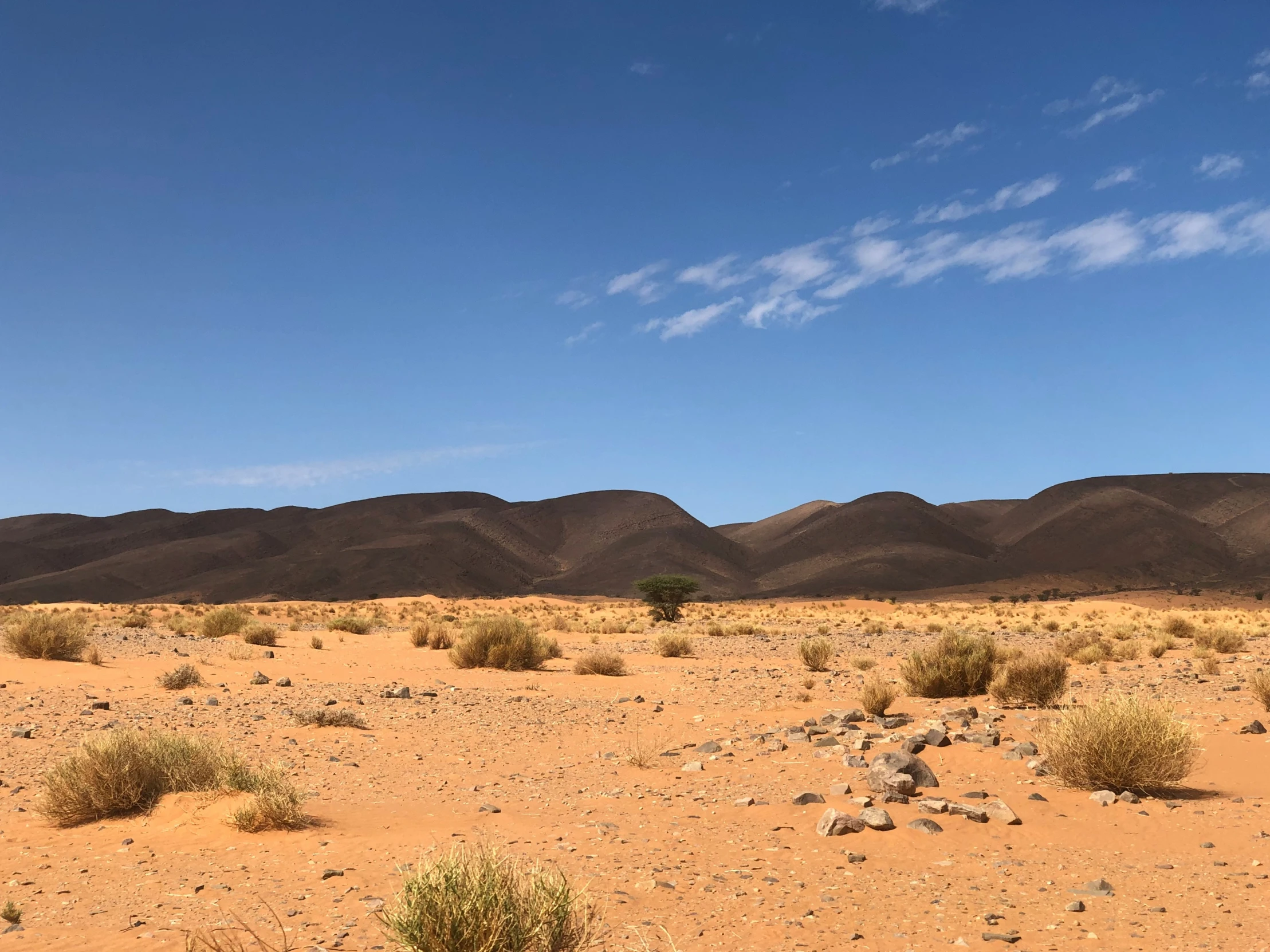 a very small mountain with some desert vegetation