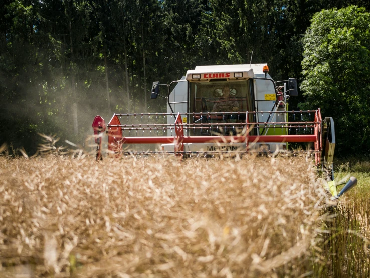 a combineer is driving behind a hay harvesting machine