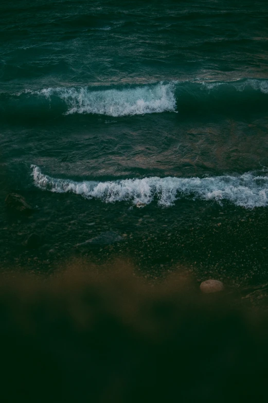 two surfers walking along the shore of a large body of water