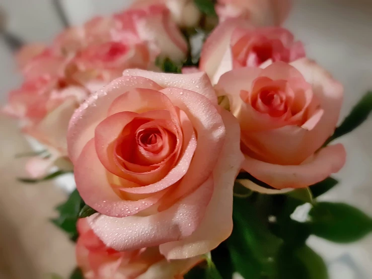 pink flowers are placed together in a vase