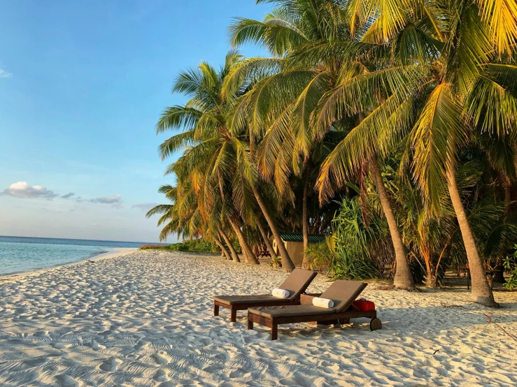 two chaises lounge on a sandy beach next to trees