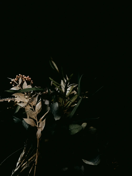 a potted plant that is green and has some flowers growing on it