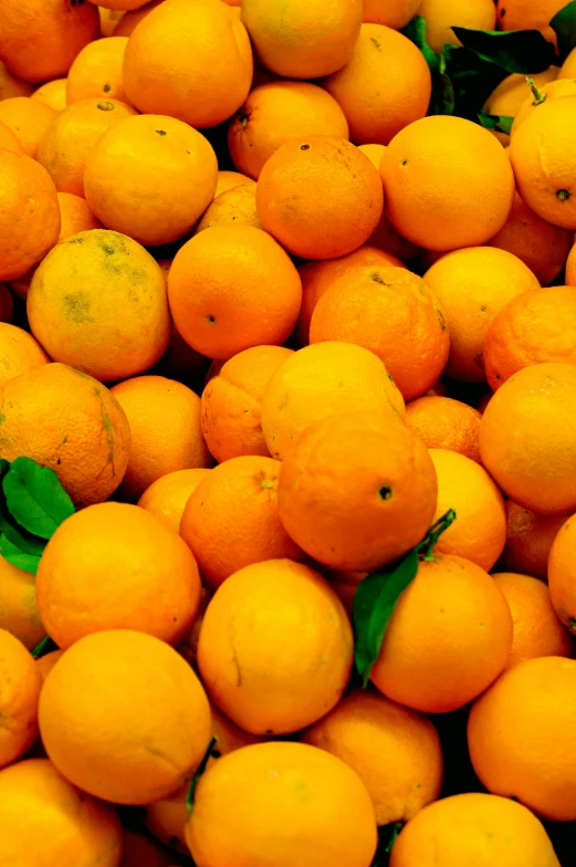 fresh oranges are displayed in the market