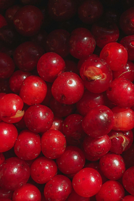 a red background with some very ripe berries