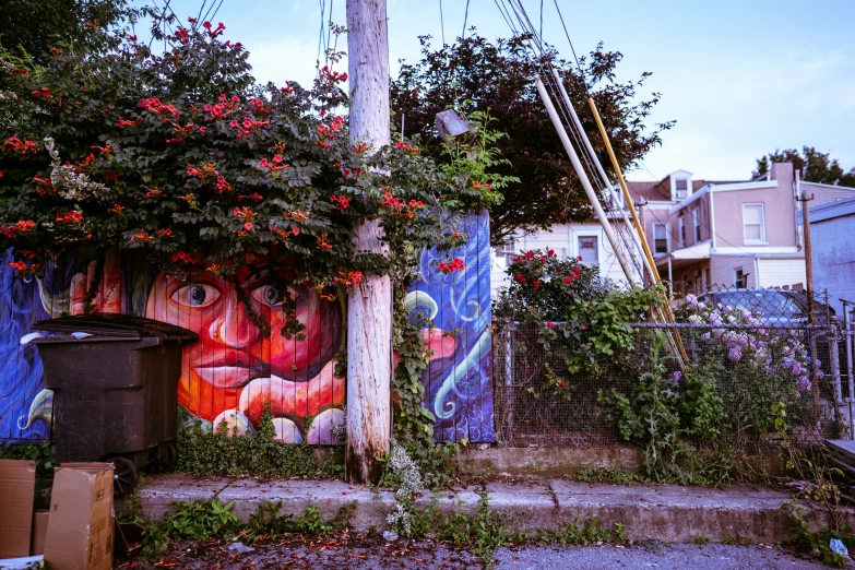 the house is painted with a colorful face