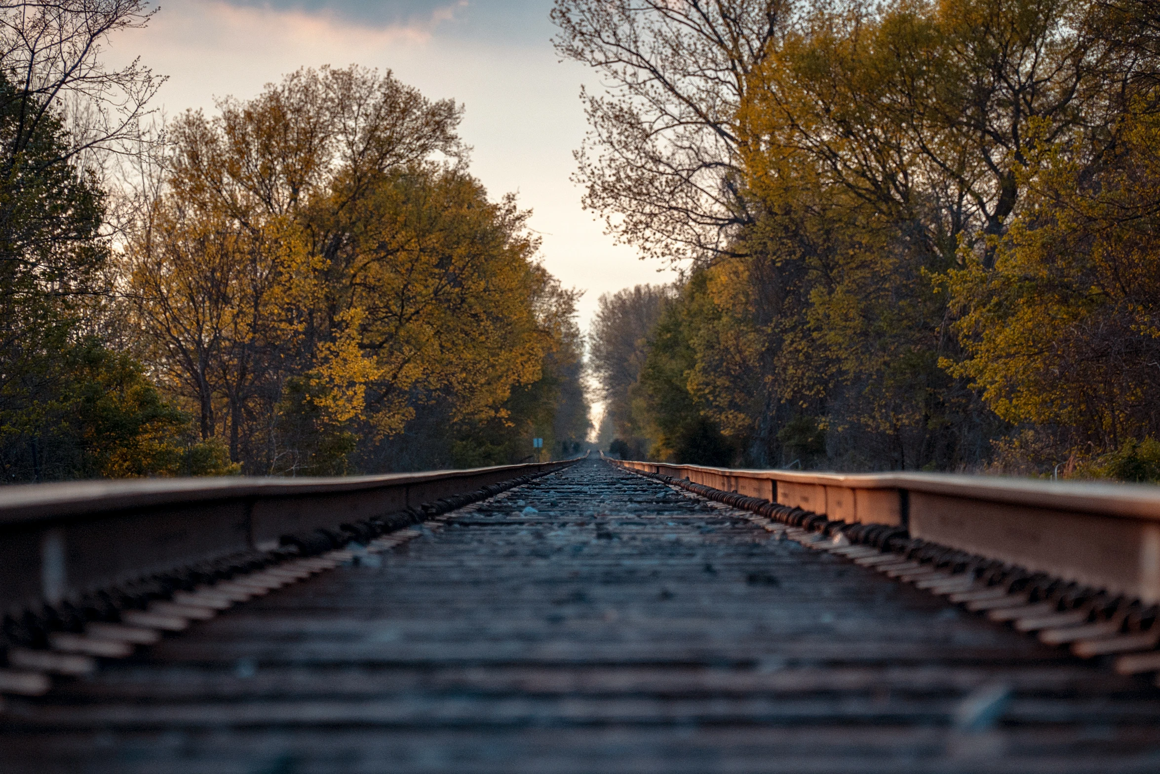 a empty road through some trees on the side of a track