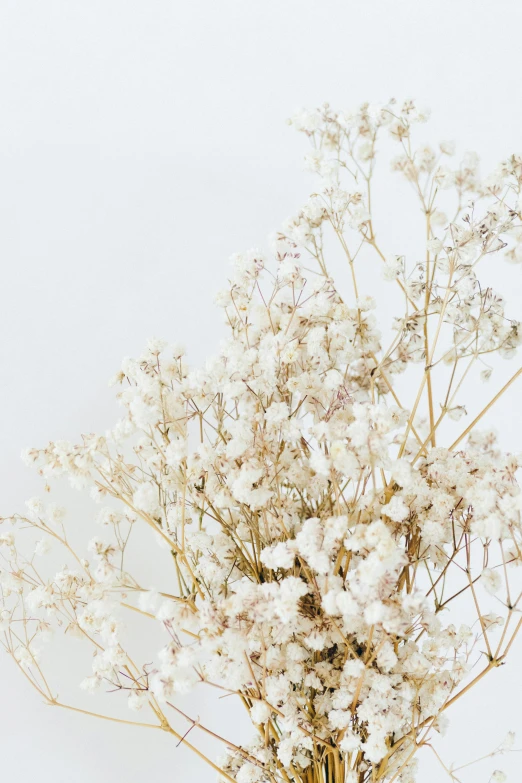 a close up view of a white flower arrangement