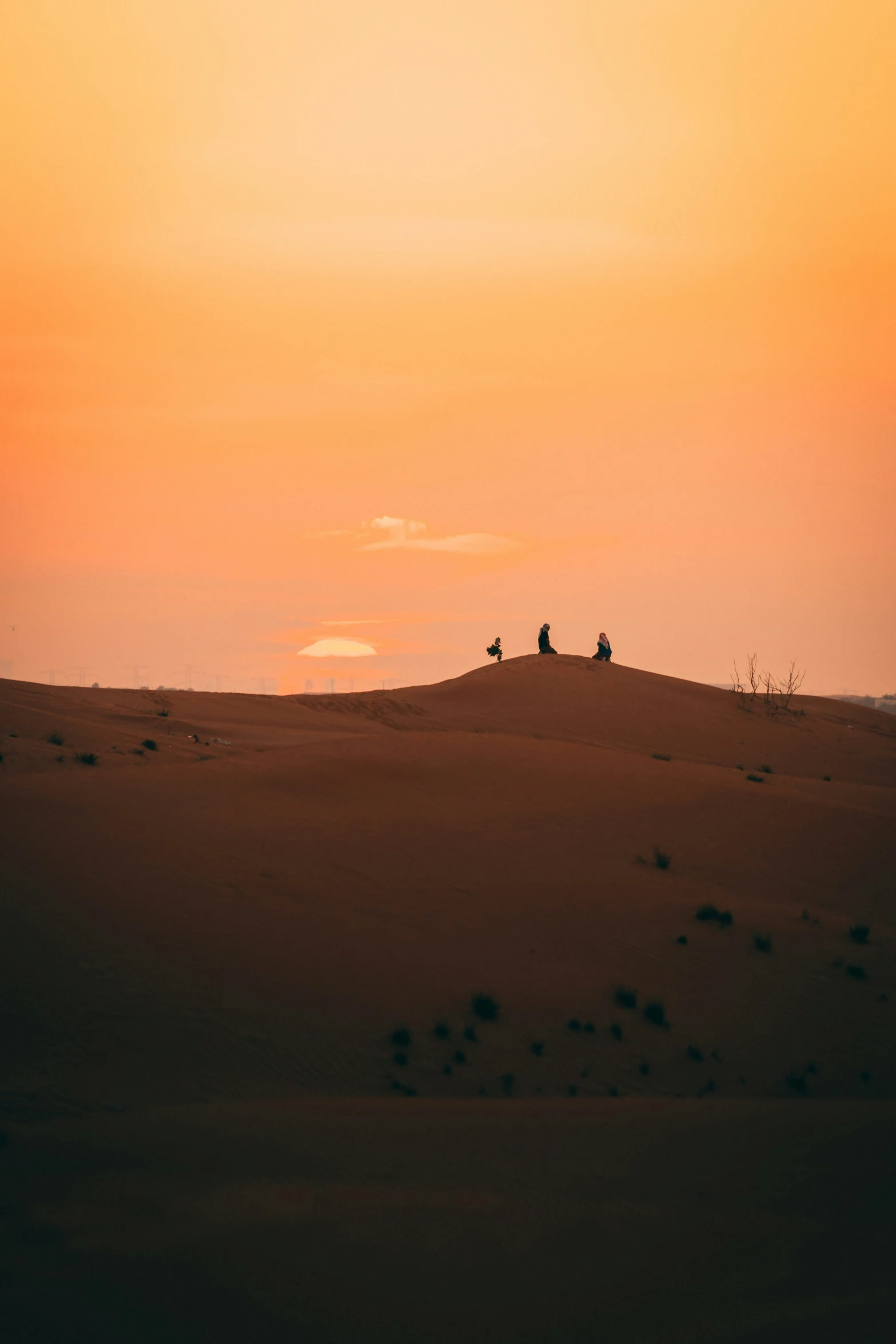 two people are sitting on top of a large dune