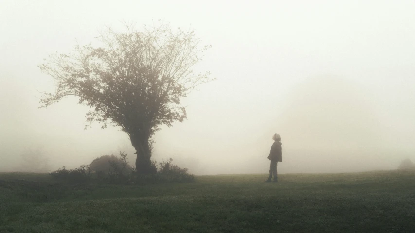 a woman standing in a foggy field near a tree