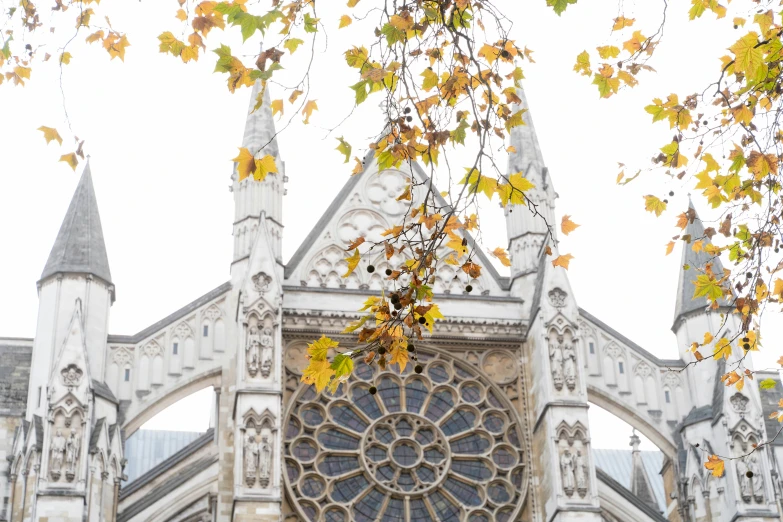 some yellow leaves in front of a very old church