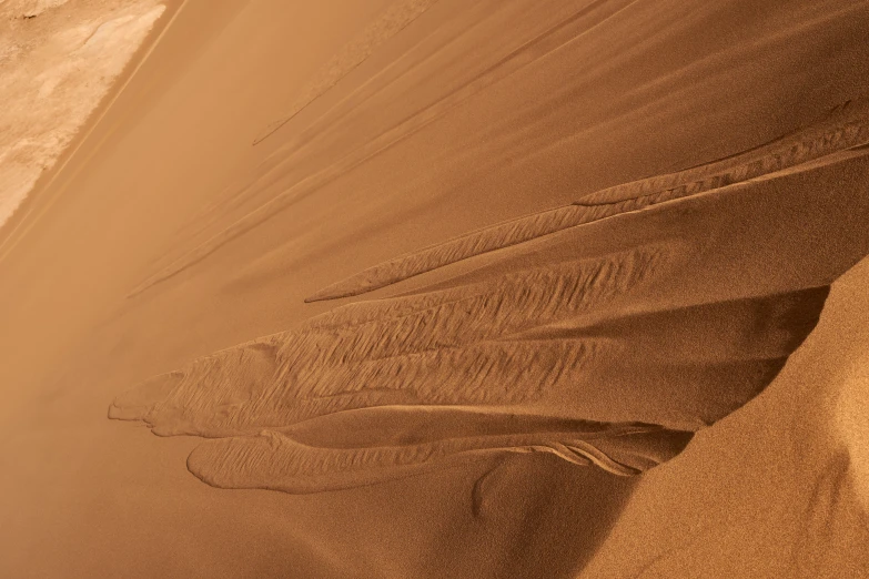 a sandy beach next to an orange wall