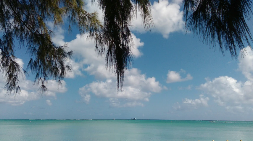 two people sitting on a bench under trees on the ocean