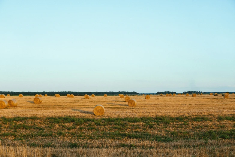 an empty field with several large bales sitting on the ground