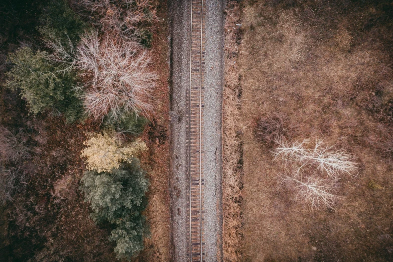 aerial view of railroad tracks in the woods