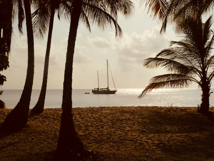 an old po of two boats in the ocean and palm trees