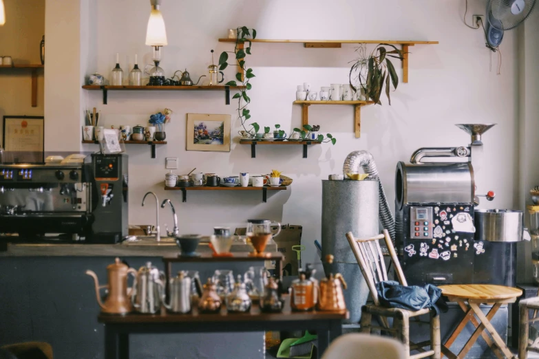 a room that has several different types of plants and items on shelves