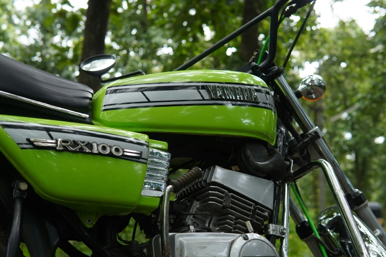 a green and black parked motorcycle on trees