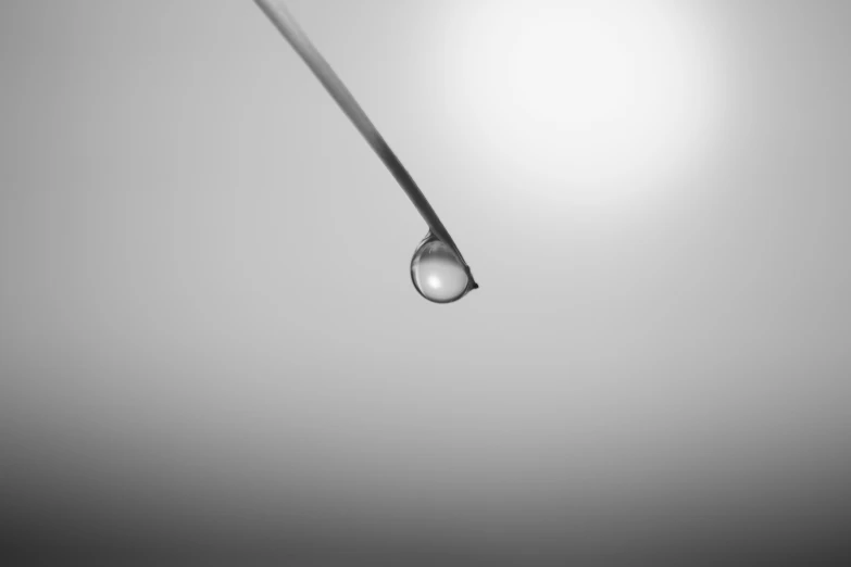 black and white po of water droplets falling from a sky