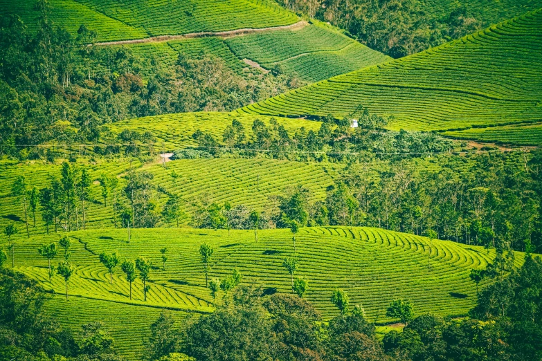 a beautiful view of a big pretty green landscape