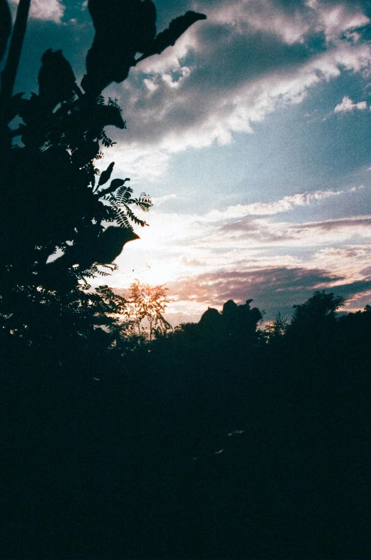 some blue sky and clouds with trees in it