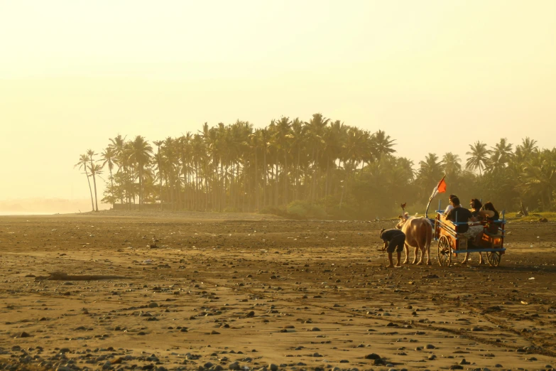 people riding horses on the sand in the beach