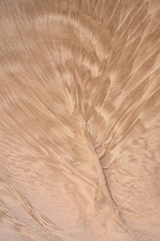 a sand dune covered in very tiny waves