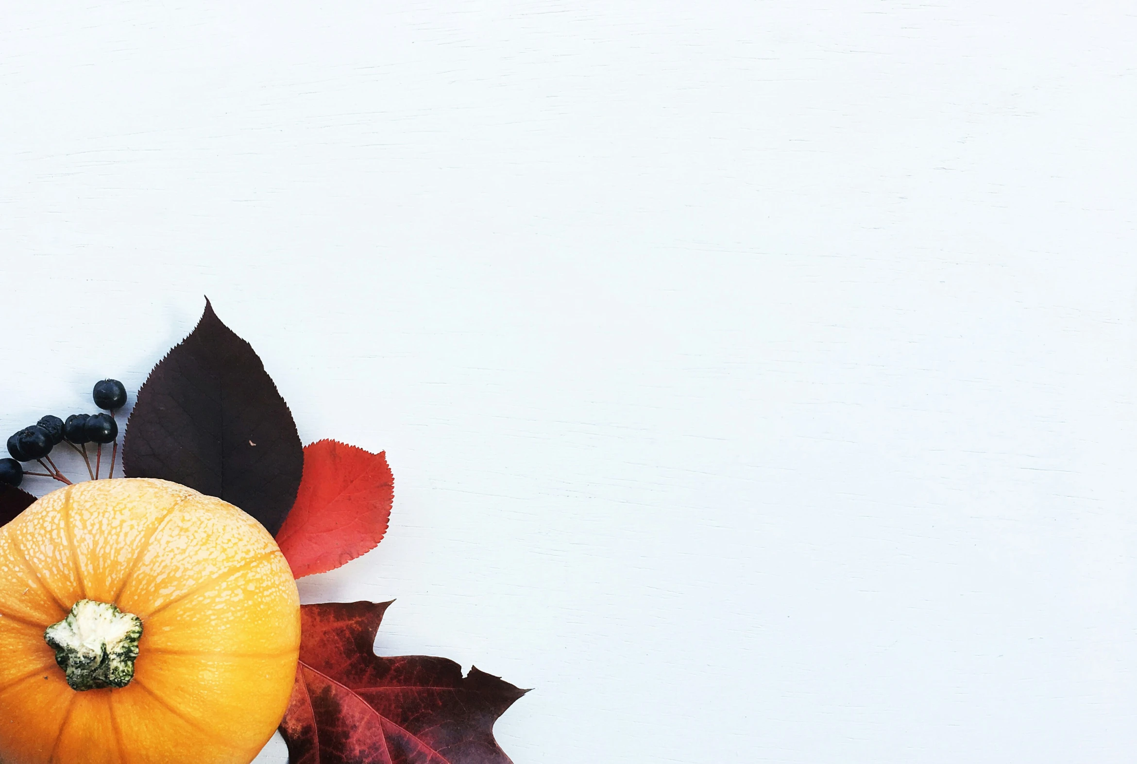 an image of a pumpkin and autumn leaves