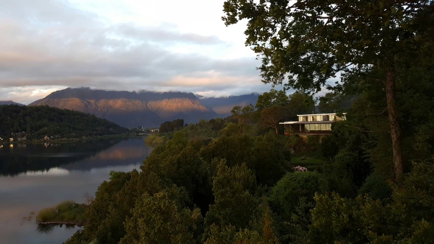 a tree filled hill with trees next to a body of water