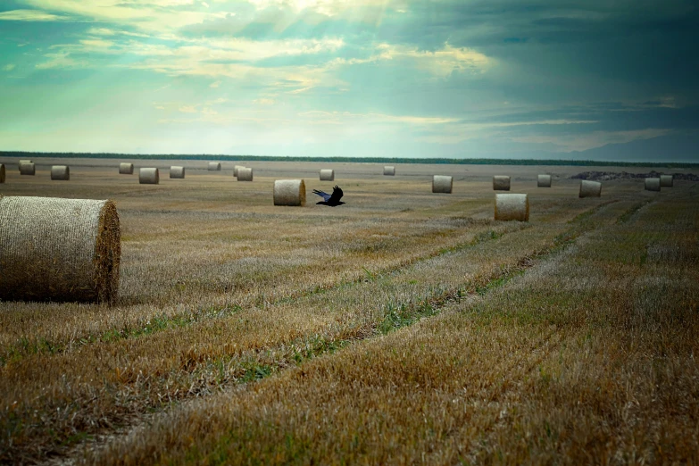 a field with hay bales in the distance