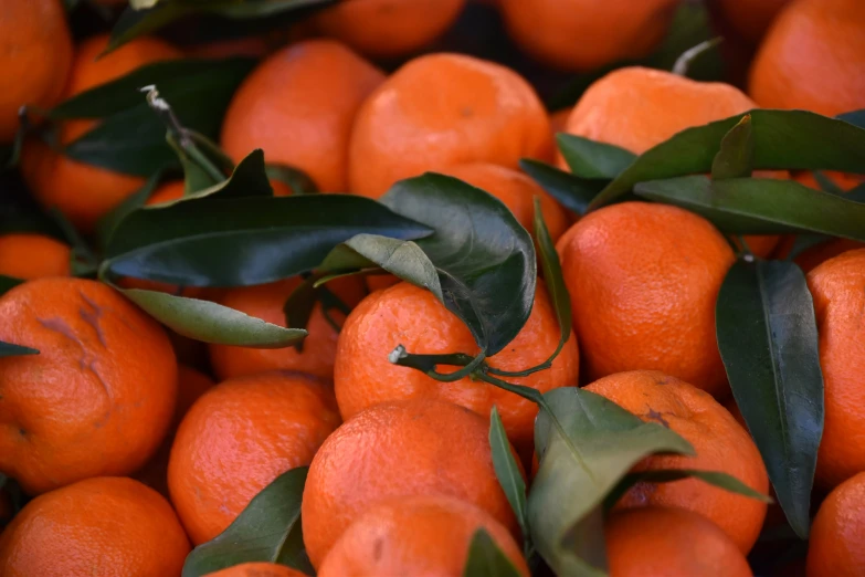 some tangerines are still alive in this po