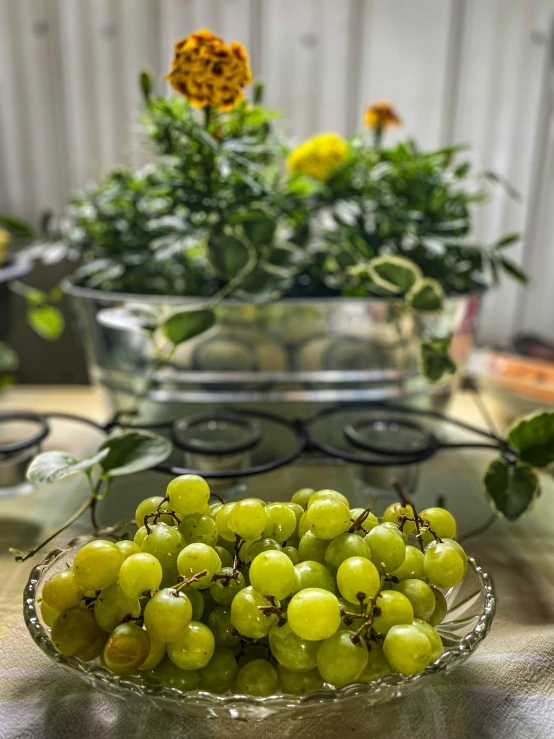 there is a glass bowl with some gs in it