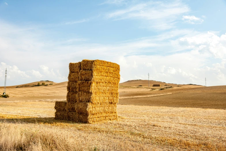 a large pile of hay sits in the middle of a wheat field