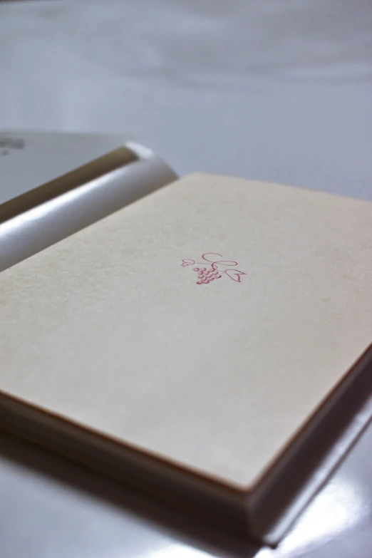 a close up of the cover on a silver laptop