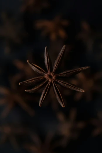 an overhead view of a star shaped object