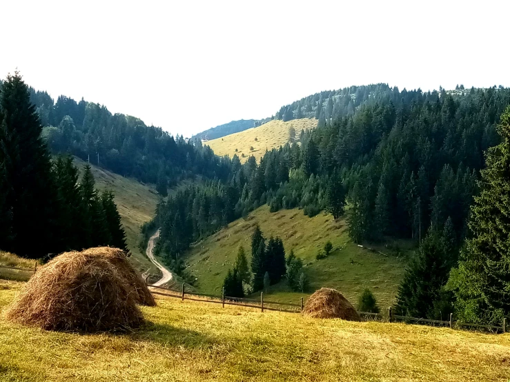 a green pasture with several hay stacks in the foreground