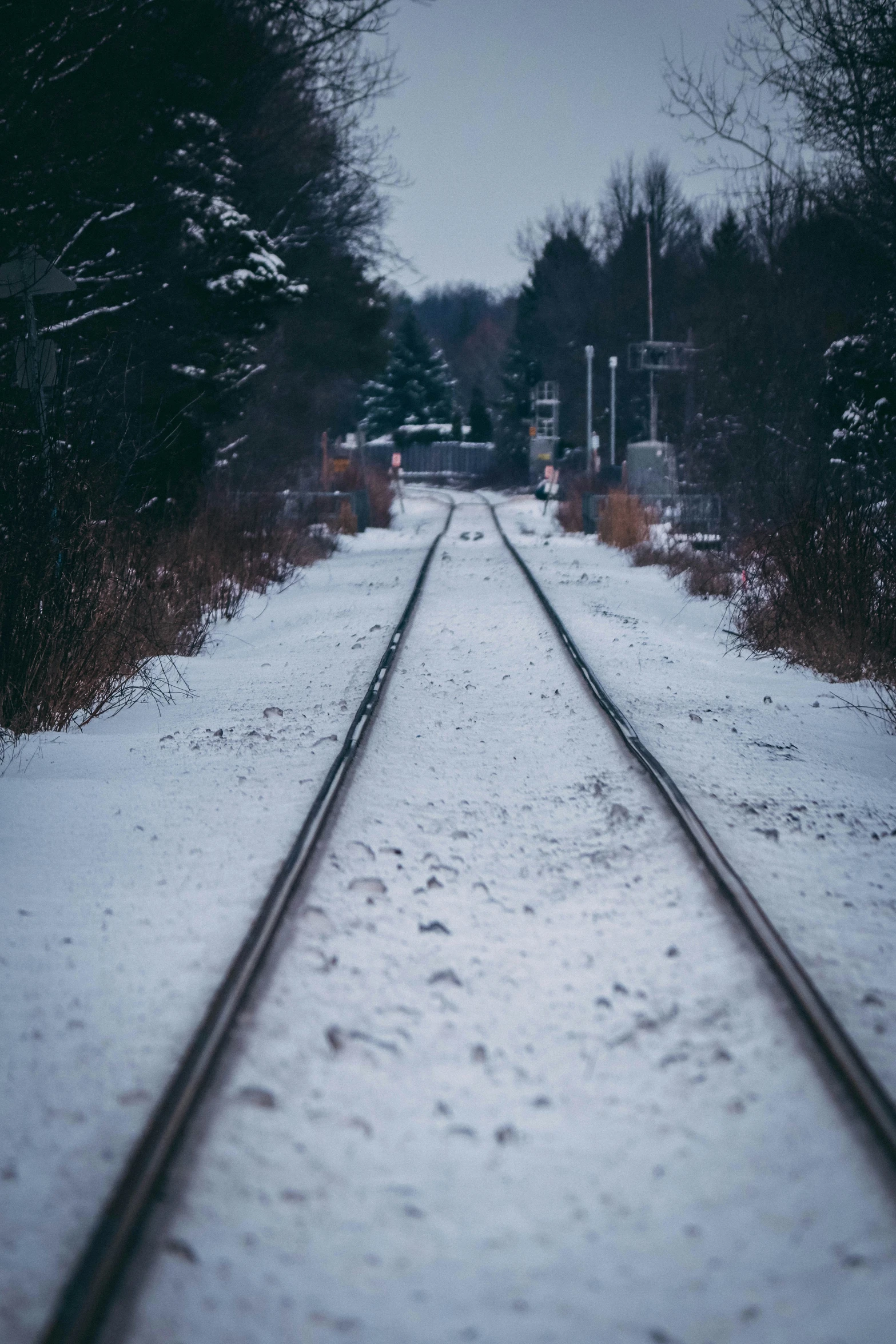 a view of a snowy train track, in the middle of nowhere