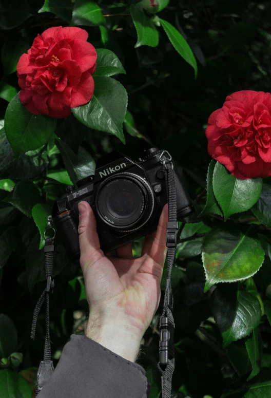 a man holding a black camera in front of some red flowers