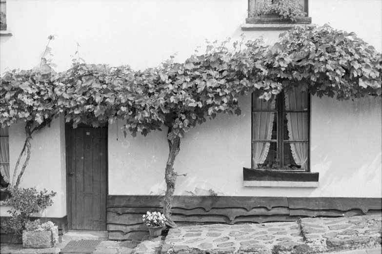 a white stucco house with plants and a stone planter