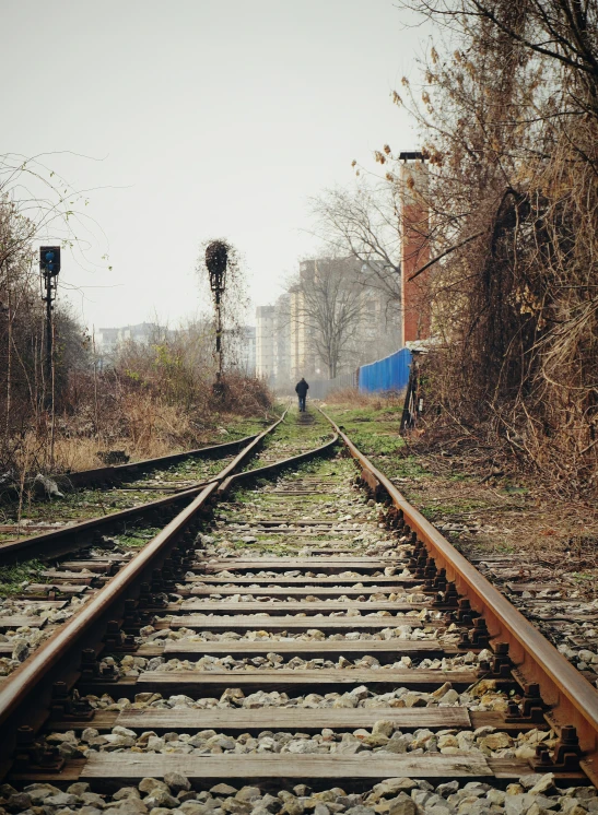 the tracks in front of a building near some trees