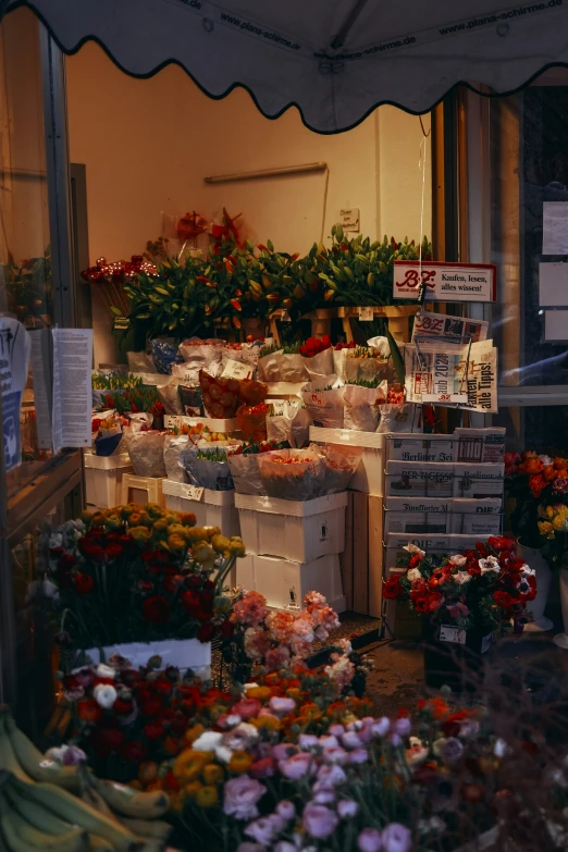 a store that has a bunch of different types of flowers