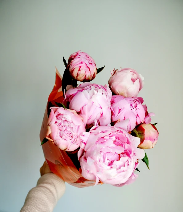 a person holding pink flowers in one hand