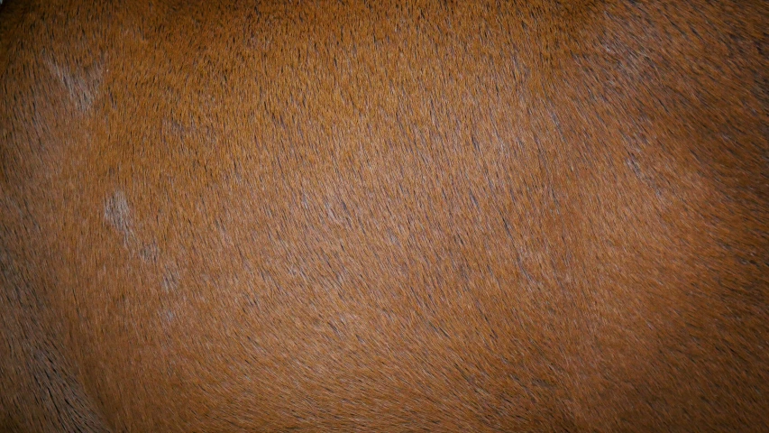 a brown, dark brown wall with some light scratches