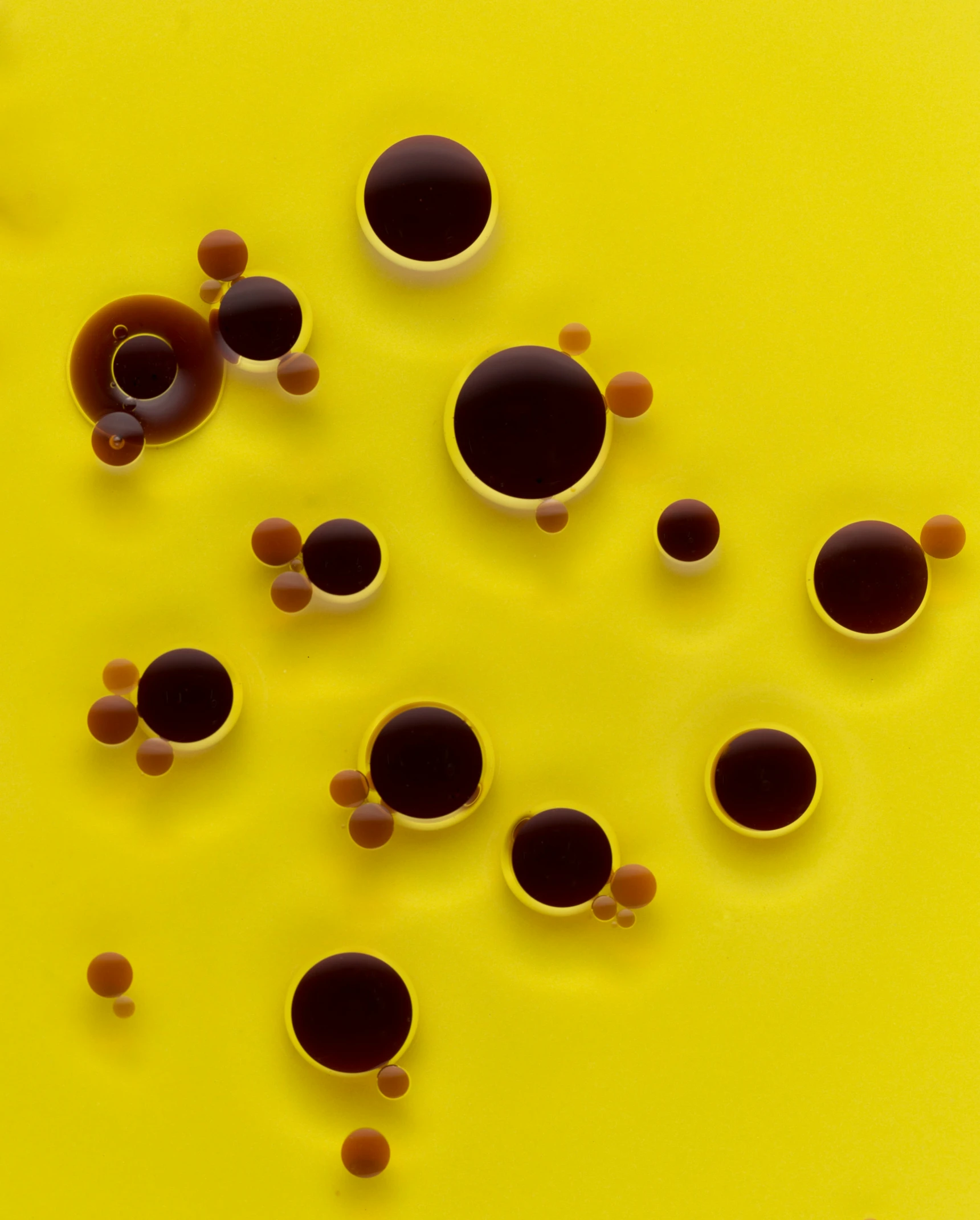 oil on a yellow background containing circles and circles