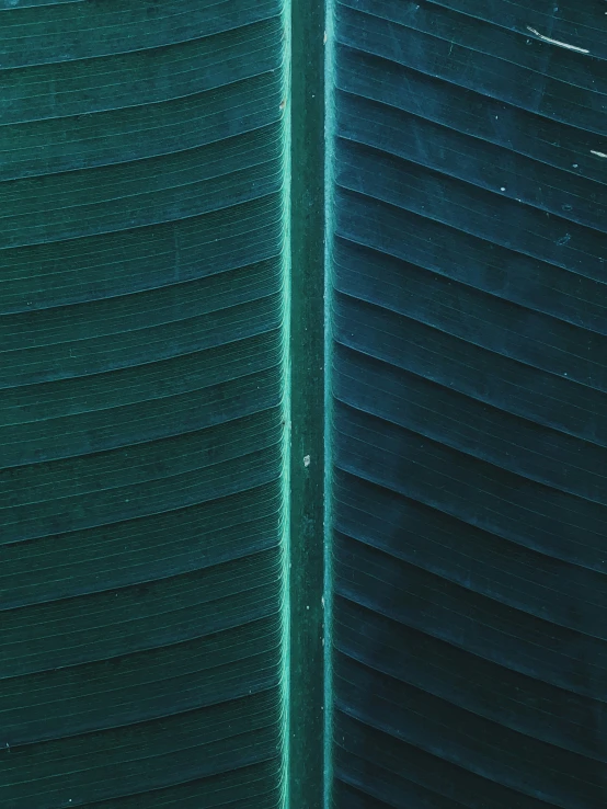 two green blinds in an outdoor room