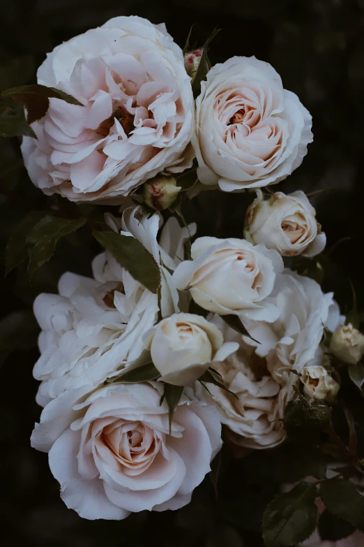 a bouquet of roses with water droplets on them