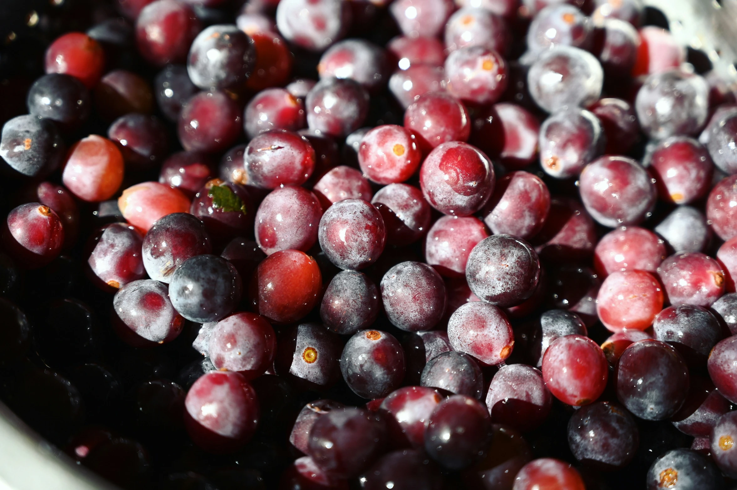 the plums are being soaked in water