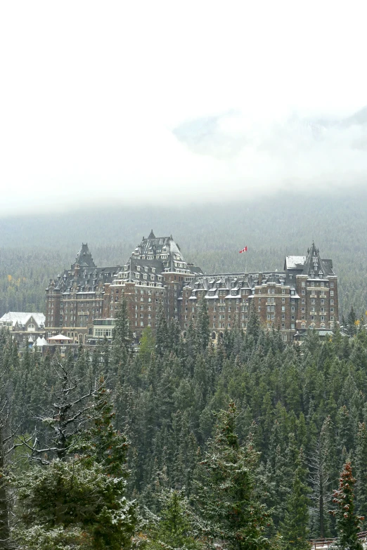 a scenic view of a winter wonderland with pine trees and buildings