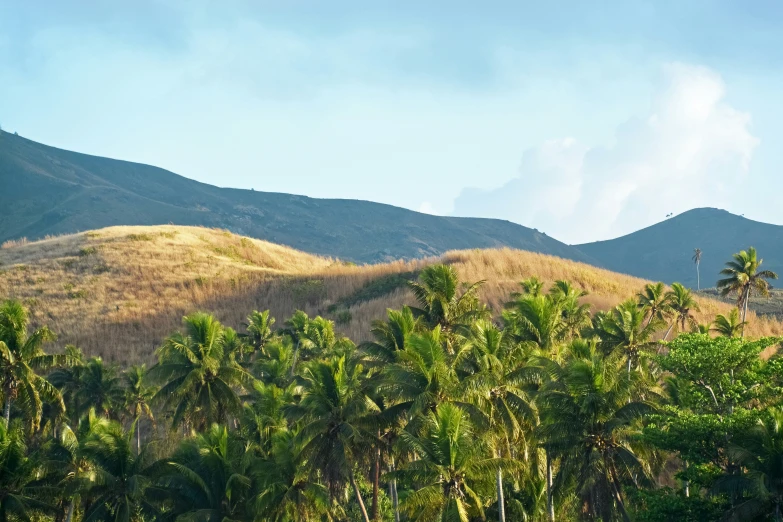 a view of a field and mountains in the distance