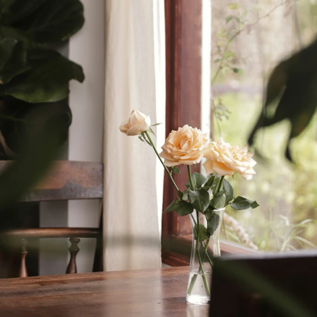 two white roses are sitting in a glass vase