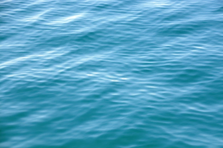 the body of water with small waves and blue sky